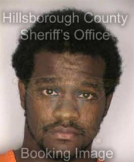 Mcintyre Jason - Hillsborough County, Florida 