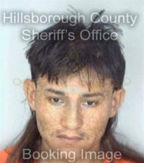 Perez Sixto - Hillsborough County, Florida 