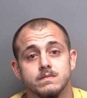 Robinson Christopher - Pinellas County, Florida 