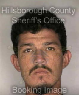 Rivera Luis - Hillsborough County, Florida 