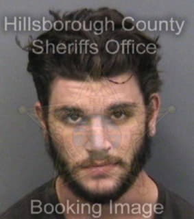 Werner Michael - Hillsborough County, Florida 