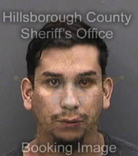 Pazquinones Camilo - Hillsborough County, Florida 