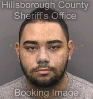 Vargasrivera Carlos - Hillsborough County, Florida 