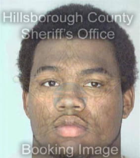 Wilson Juan - Hillsborough County, Florida 