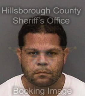 Martinezgonzalez Alberto - Hillsborough County, Florida 