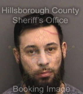 Cintron Seth - Hillsborough County, Florida 