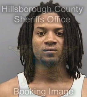 Mcglothin Damario - Hillsborough County, Florida 