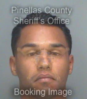 Gonzalez Daniel - Pinellas County, Florida 