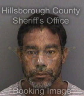 Perez Victor - Hillsborough County, Florida 