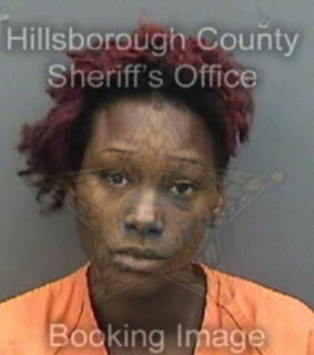 Williams Eikeshia - Hillsborough County, Florida 