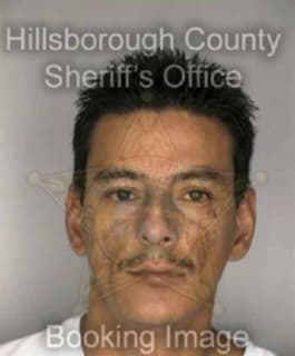 Ocampo Herman - Hillsborough County, Florida 