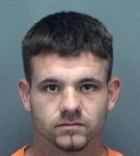 Robinson Joshua - Pinellas County, Florida 