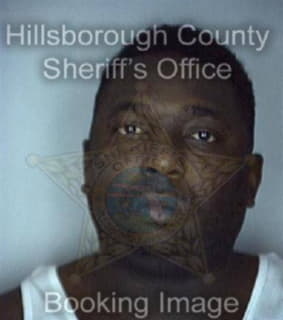 Swanson Anthony - Hillsborough County, Florida 