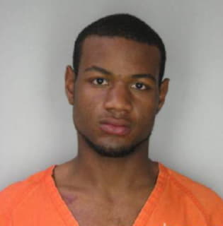 Johnson Michael - Hillsborough County, Florida 