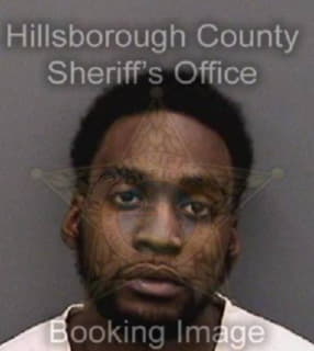 Payne Demetrius - Hillsborough County, Florida 