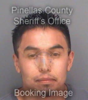 Martinez Fabian - Pinellas County, Florida 