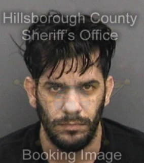 Penaaday Jorge - Hillsborough County, Florida 