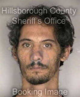 Adkins Phillip - Hillsborough County, Florida 