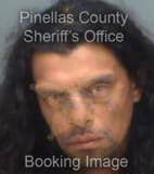 Alvarez Alexander - Pinellas County, Florida 