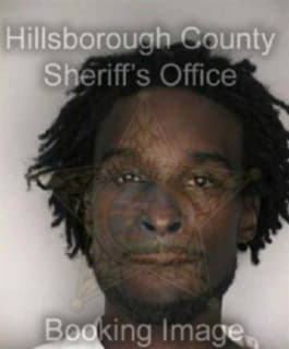 Mitchell Frederick - Hillsborough County, Florida 