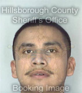 Leon Carlos - Hillsborough County, Florida 