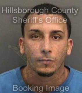 Davilavelez Luis - Hillsborough County, Florida 