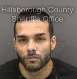 Lopez Manuel - Hillsborough County, Florida 