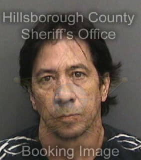 Martinezcastano Jose - Hillsborough County, Florida 