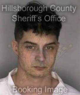 Mcdevitt Michael - Hillsborough County, Florida 