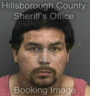 Vasquez Carlos - Hillsborough County, Florida 