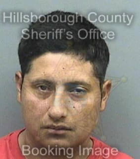 Deleon Anibal - Hillsborough County, Florida 