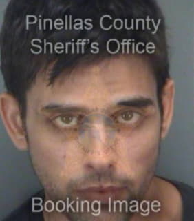 Mitchell David - Pinellas County, Florida 