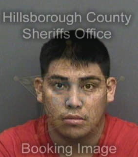 Lopez Elieser - Hillsborough County, Florida 