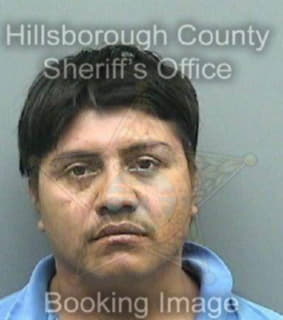 Martinezhernandez Jonas - Hillsborough County, Florida 