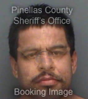 Flores Ramiro - Pinellas County, Florida 