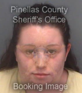 Detwiler Amanda - Pinellas County, Florida 