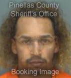 Hernandez Herman - Pinellas County, Florida 