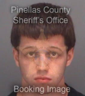 Brady Michael - Pinellas County, Florida 