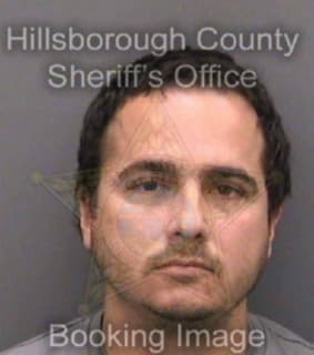 Rodriguez Michel - Hillsborough County, Florida 