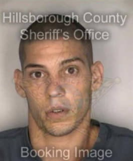 Raulerson James - Hillsborough County, Florida 