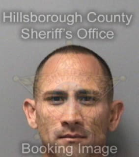 Cartagena Benny - Hillsborough County, Florida 