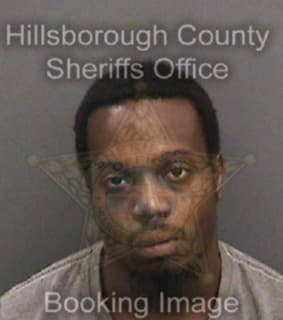 Johnson Henry - Hillsborough County, Florida 