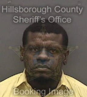 Singletary Jeffrey - Hillsborough County, Florida 