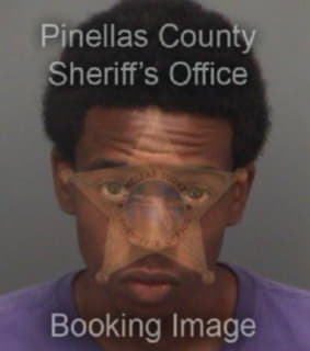 Johnson Jejuan - Pinellas County, Florida 