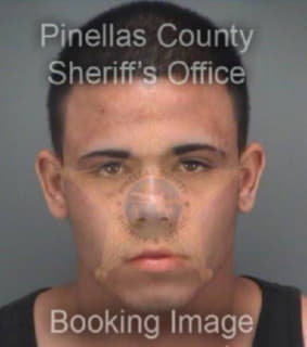 Alvarado Jordan - Pinellas County, Florida 