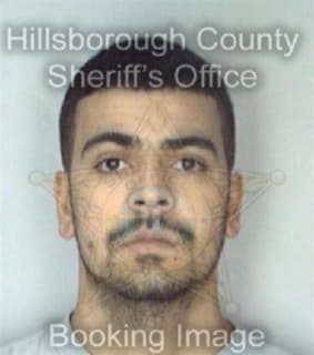 Martinez William - Hillsborough County, Florida 