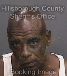 Mcghee Anthony - Hillsborough County, Florida 