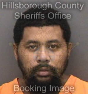 Landa David - Hillsborough County, Florida 