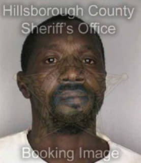 Robinson Lewis - Hillsborough County, Florida 