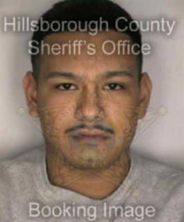 Aguilar Michael - Hillsborough County, Florida 